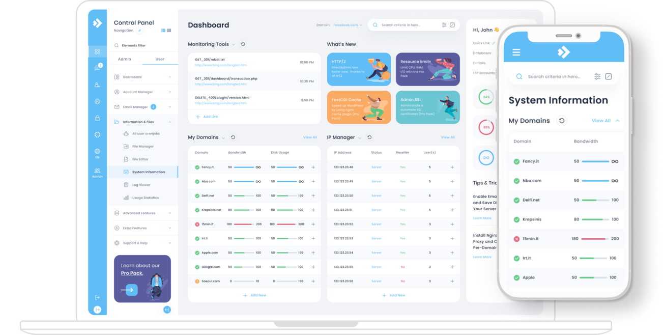 DirectAdmin control panel dashboard